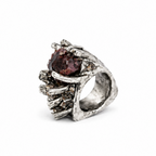 The hidden gem ring