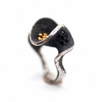 anillo Nudibranch