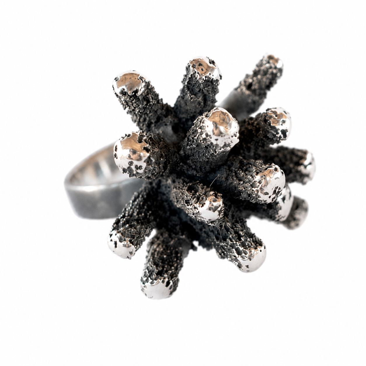 Criaturas Anillo Erizo Puas