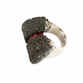 Criaturas Anillo Magnete 2