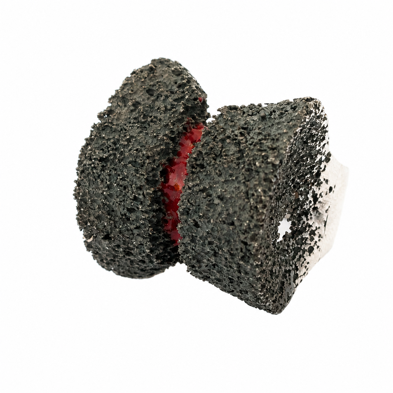 Criaturas Anillo Magnete 2