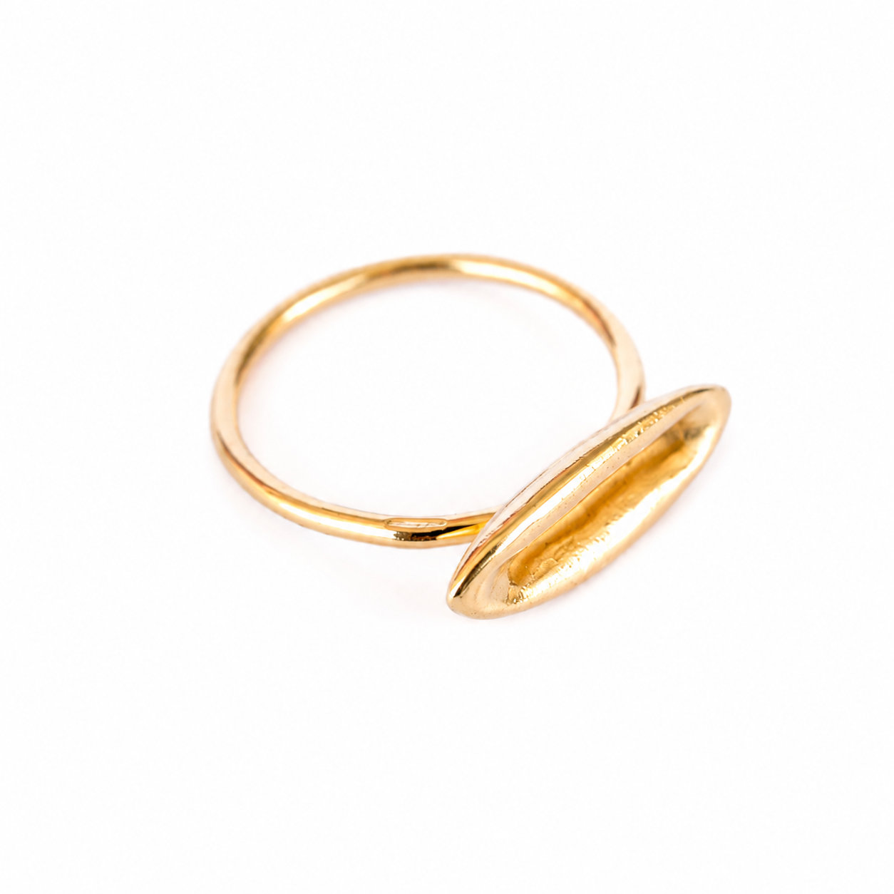 Polen Anillo Arroz Oro