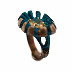 Anillo Solar