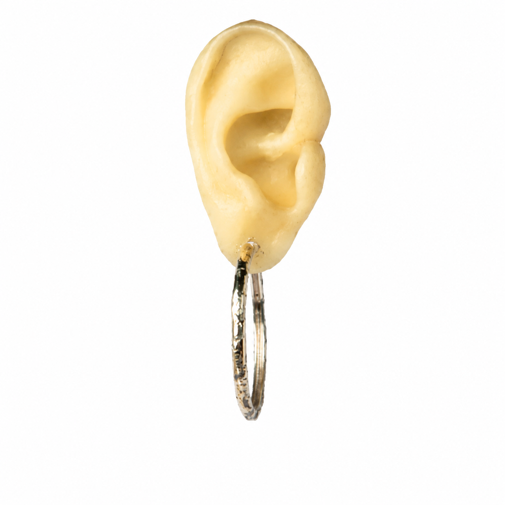 Hoop Earring V2