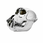 Monkey Skull V3