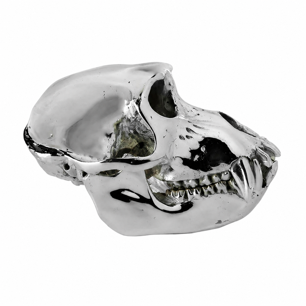 Monkey Skull V3