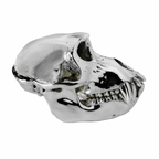 Monkey Skull V3