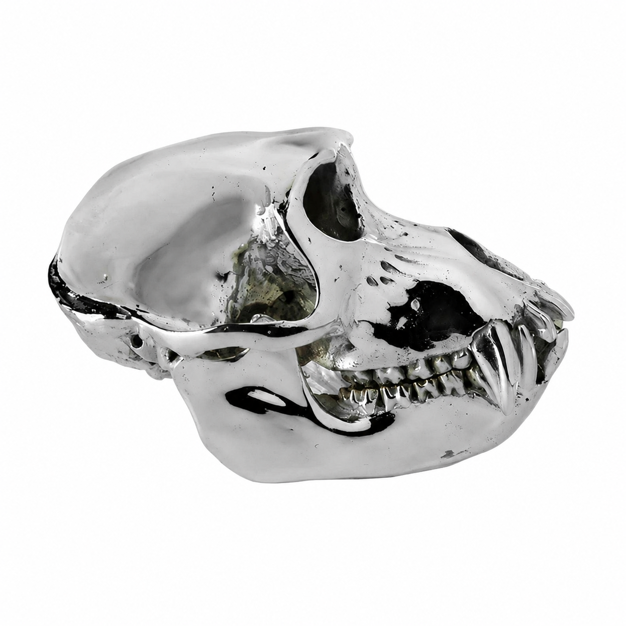 Monkey Skull V3