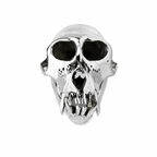 Monkey Skull V3