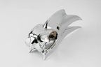 Wrinkled Hornbill Skull