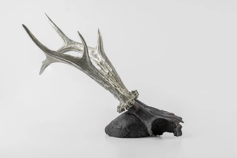 Double Horns Skull