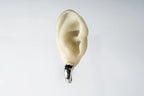 Little Horn Earring