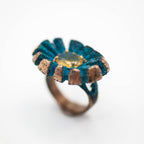 Solar Ring