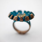 Solar Ring