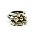 Gilded Relic Ring