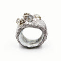 The Herkimer Terrain Ring
