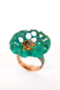 Anillo Semilla Tesoro