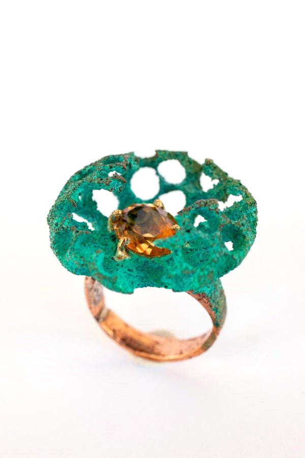 Anillo Semilla Tesoro