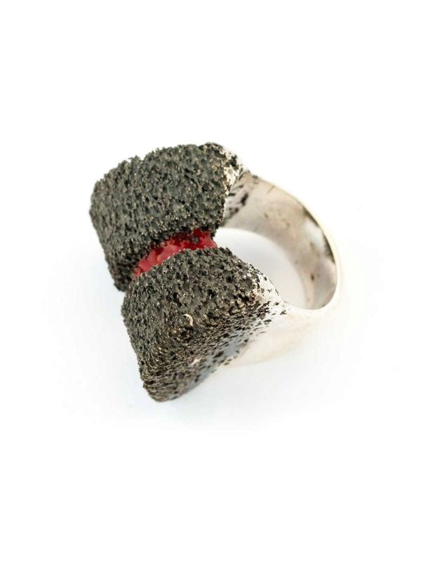 Criaturas Anillo Magnete 2