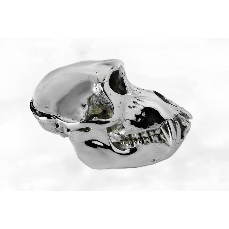 Monkey Skull V3