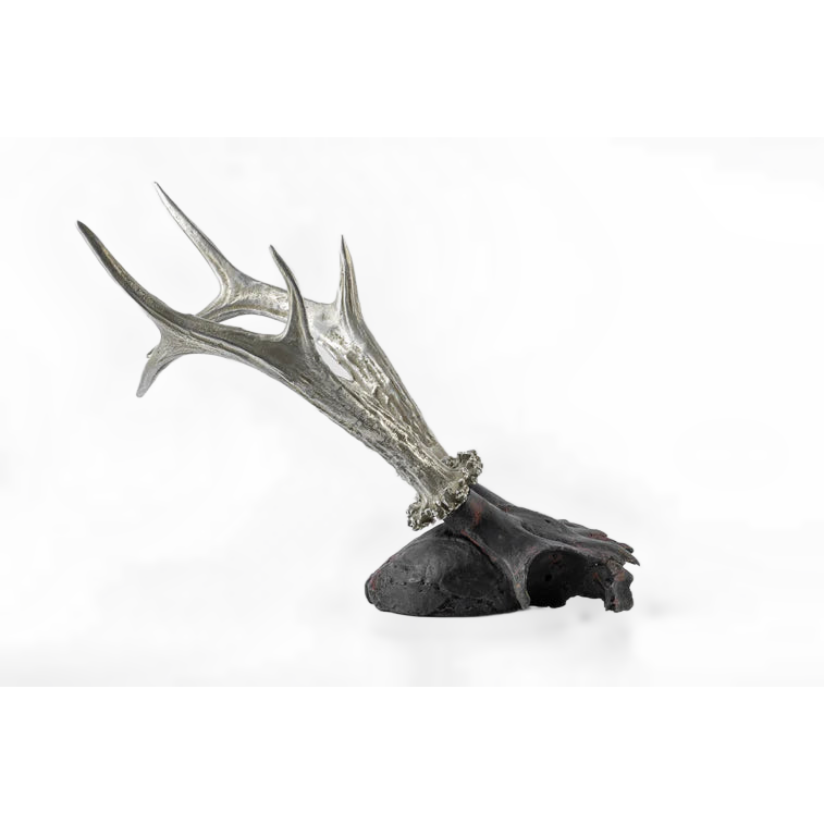 Double Horns Skull