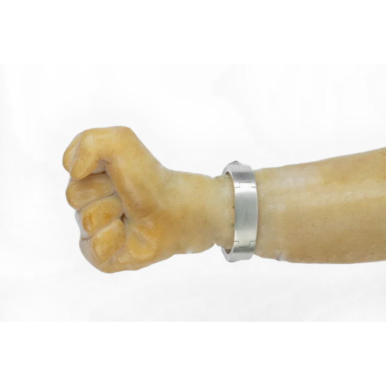 Sistema Bracelet V2