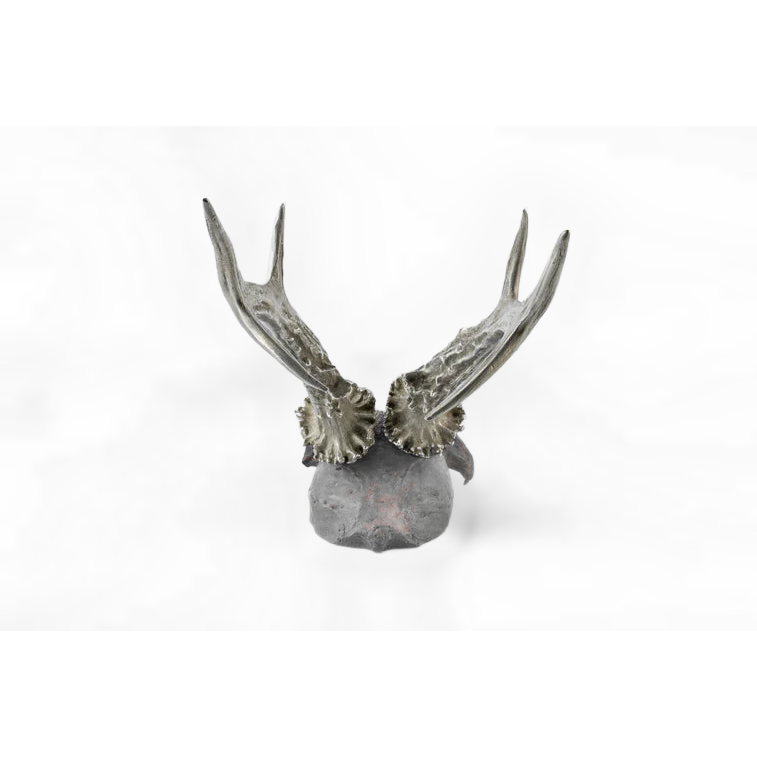 Double Horns Skull