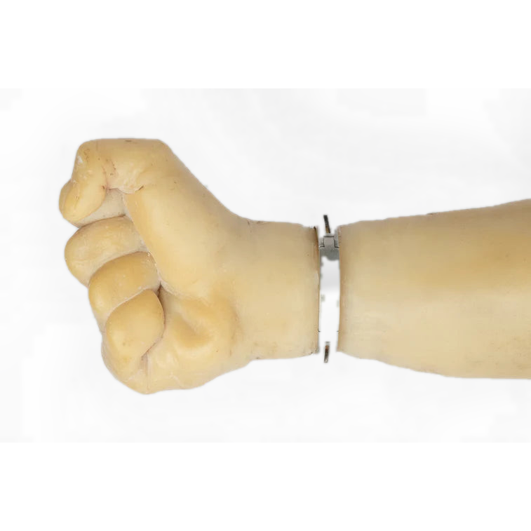 Sistema Bracelet V2