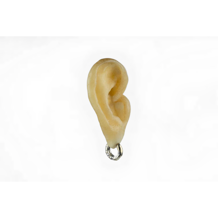 Hoop Earring Tiny V2