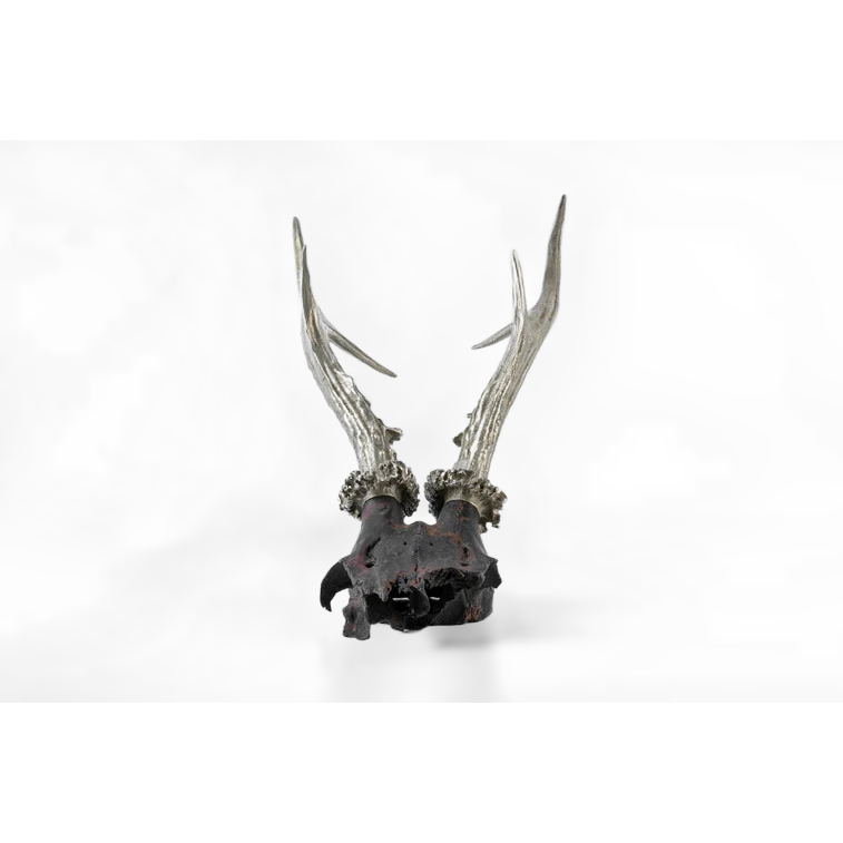 Double Horns Skull