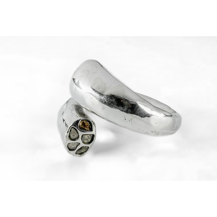 Twisted Druid Ring