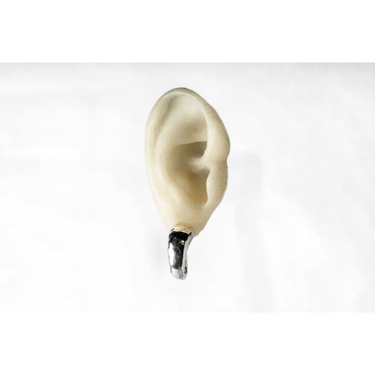 Little Horn Earring