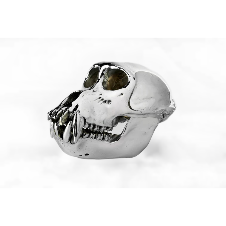Monkey Skull V3