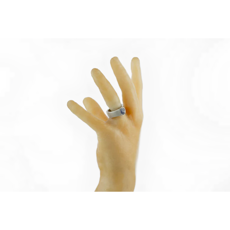 Terrestrial Surfaced, Tanzanite Ring
