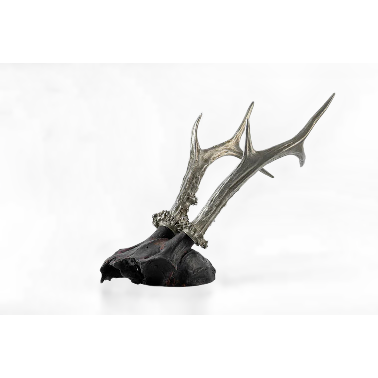 Double Horns Skull