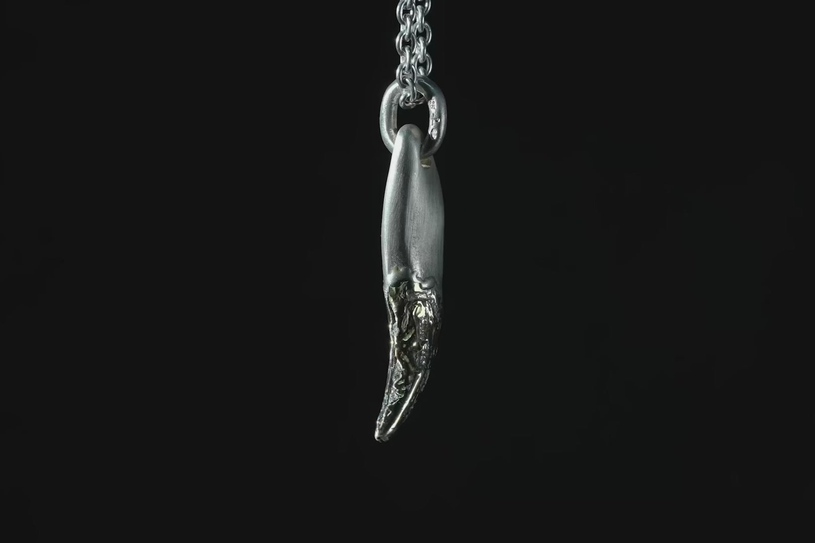 Leopard Tooth Lower Fang Ghost Necklace
